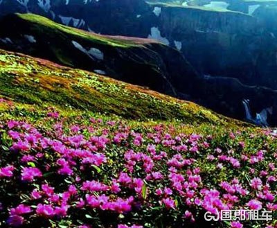 高山花园